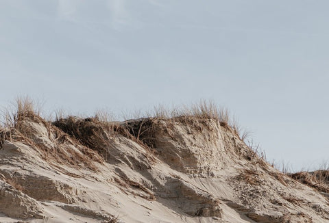 How to Meditate in 5 Simple Steps